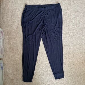 Old Navy Blue Jogger Sweatpants with Elastic Waistband